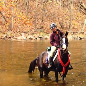 Meet your Posher, Liz